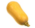 An isolated bell pumpkin Royalty Free Stock Photo
