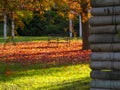 Isolated bench made of steel on bed of red leaves in a park. Background and autumn colors. Empty seat. Relaxation  contest Royalty Free Stock Photo