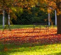 Isolated bench made of steel on bed of red leaves in a park. Background and autumn colors. Empty seat. Relaxation  contest Royalty Free Stock Photo