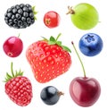 Isolated berries collection Royalty Free Stock Photo