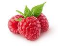 Isolated berries. Three raspberry fruits with leaves isolated on white background with clipping path.