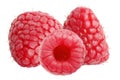 Three raspberry fruits isolated on white background Royalty Free Stock Photo