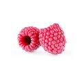 Isolated berries. Two raspberry fruits isolated on white background with clipping path