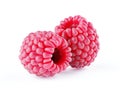 Isolated berries. Two raspberry fruits isolated on white background with clipping path Royalty Free Stock Photo