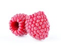 Isolated berries. Two raspberry fruits isolated on white background with clipping path