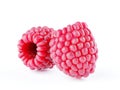 Isolated berries. Two raspberry fruits isolated on white background with clipping path Royalty Free Stock Photo