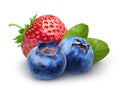 Isolated berries. Two sweet blueberry and strawberry fruits with leaves isolated on white background, clipping path. Royalty Free Stock Photo