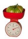 Isolated big tomato on scales Royalty Free Stock Photo