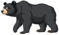 Cartoon Black Bear Royalty Free Stock Photo