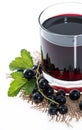 Isolated Black Currant juice Royalty Free Stock Photo