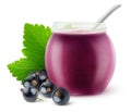 Isolated black currants jam Royalty Free Stock Photo