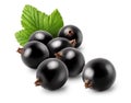 Isolated black currants. Pile of fresh black currant berries with leaf isolated on white background with clipping path Royalty Free Stock Photo