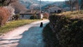 An isolated black dog on a dirt road of a countryside italian village Marche, Italy Royalty Free Stock Photo