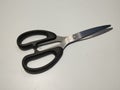 Isolated black handled scissor