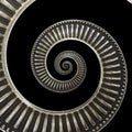 Isolated on black metal abstract spiral background pattern fractal. Metallic background, repetitive pattern. Metal spiral decorati Royalty Free Stock Photo