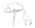 Isolated black outline of a giraffe eating from a tree on white background