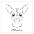 Isolated black outline head of chihuahua on white background. Line cartoon breed dog portrait. Royalty Free Stock Photo