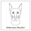 Isolated black outline head of doberman pinscher on white background. Line cartoon breed dog portrait.