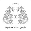 Isolated black outline head of english cocker spaniel on white background. Line cartoon breed dog portrait. Royalty Free Stock Photo