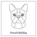 Isolated black outline head of french bulldog on white background. Line cartoon breed dog portrait. Royalty Free Stock Photo