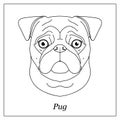 Isolated black outline head of pug dog, mops on white background. Line cartoon breed dog portrait. Royalty Free Stock Photo