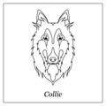 Isolated black outline head of scottish shepherd, collie, sheltie, sheepdog on white background. Line cartoon breed dog portrait.