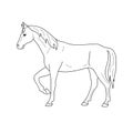 Isolated black outline standing horse on white background. Side view. Curve lines. Page of coloring book. Royalty Free Stock Photo