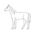 Isolated black outline standing horse on white background. Side view. Curve lines. Page of coloring book. Royalty Free Stock Photo