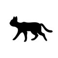 Isolated black silhouette of running cat on white background. Flat cartoon cat pose