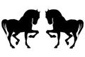 Isolated black silhouettes  horse on a white background Royalty Free Stock Photo