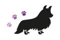 Isolated black standing dog vector silhouette with three violet paw prints.