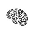 Isolated black and white brain contour vector logo. Gyrus silhouette logotype. Human intelligence illustration.