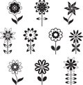 Isolated Black and White Flower Illustrations