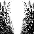 Isolated black and white illustration of a corn field silhouette on a white background. Royalty Free Stock Photo