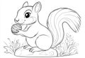 Isolated black and white squirrel holding nut on rock Royalty Free Stock Photo