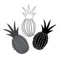 Isolated black and white vector set of abstract fruits silhouettes of pineapples Royalty Free Stock Photo