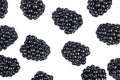 Isolated blackberries. Blackberry fruits isolated over white background with clipping path. Macro shot fresh juicy blackberry Royalty Free Stock Photo