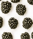 Isolated blackberries collection Royalty Free Stock Photo