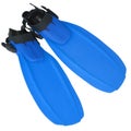Isolated blue flippers