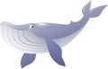 Isolated blue whale. Vector illustration