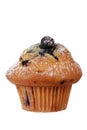 Isolated blueberry muffin with icing sugar