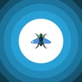 Isolated Bluebottle Flat Icon. Dung Vector Element Can Be Used For Dung, Fly, Bluebottle Design Concept.