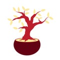 Isolated bonsai icon