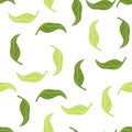 Isolated botanic seamless pattern with green mandarin leaves elements. White background. Simple style