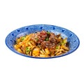 Isolated bowl of asian beef noodle wok dish Royalty Free Stock Photo