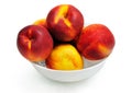 Isolated bowl with nectarine