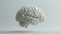 The isolated brain model.AI generated image Royalty Free Stock Photo
