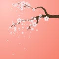 Isolated branch with flowers of sakura. Cartoon pink and white blossoms of Japanese cherry tree. Royalty Free Stock Photo