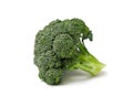 Isolated broccoli Royalty Free Stock Photo