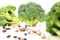 Isolated broccoli and bean pattern Royalty Free Stock Photo